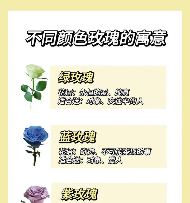 不同颜色玫瑰花各自有何寓意？