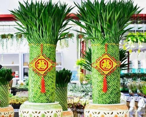 哪种花寓意好运的到来？