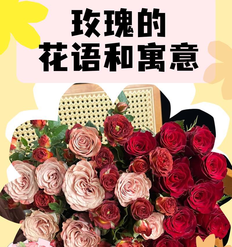 粉色玫瑰花通常代表什么含义？