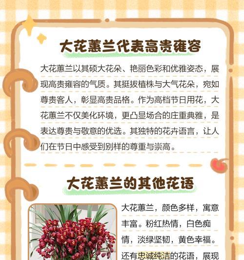 通用的节日花语有哪些？花语大全中节日的寓意是什么？