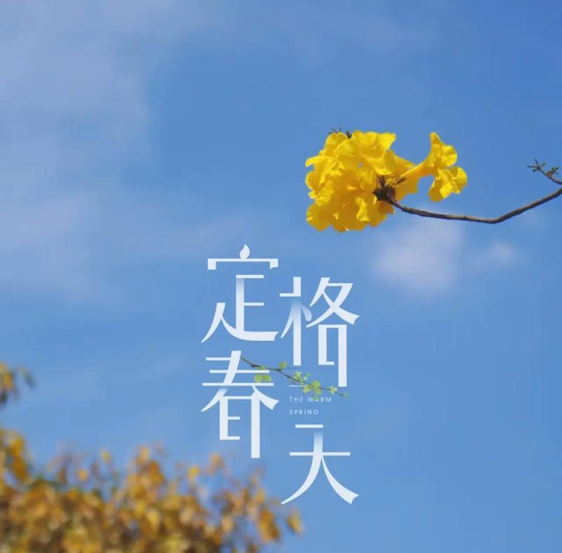 黄色的花戴头上的寓意是什么？头戴黄色花的象征意义？