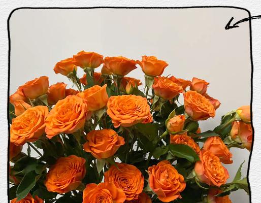 橙色芭比花蛋糕有何含义？送花蛋糕时应注意什么？