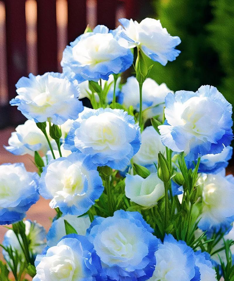 哪些花的花语代表着甜蜜？