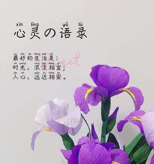 尊重长辈的花语有哪些？如何通过花卉表达对长辈的敬意？