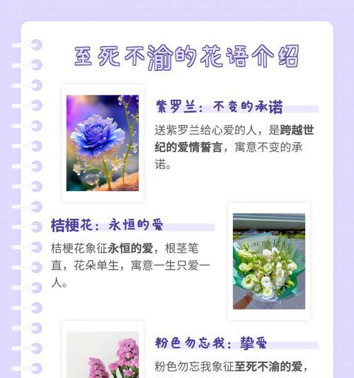 尊重长辈的花语有哪些？如何通过花卉表达对长辈的敬意？