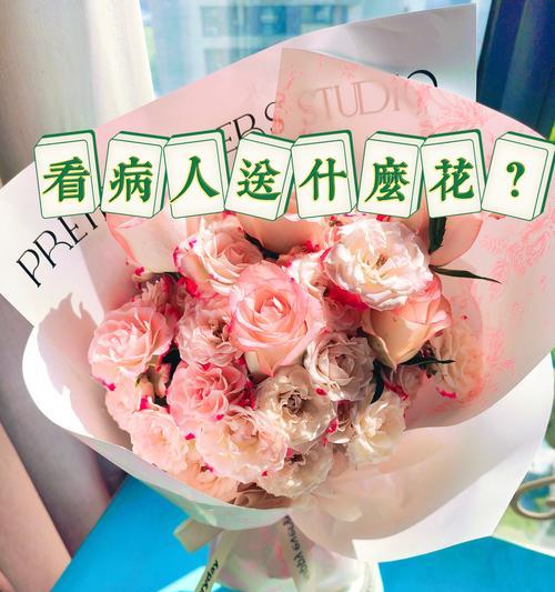 有哪些花寓意祝福？它们各自代表了什么祝福？