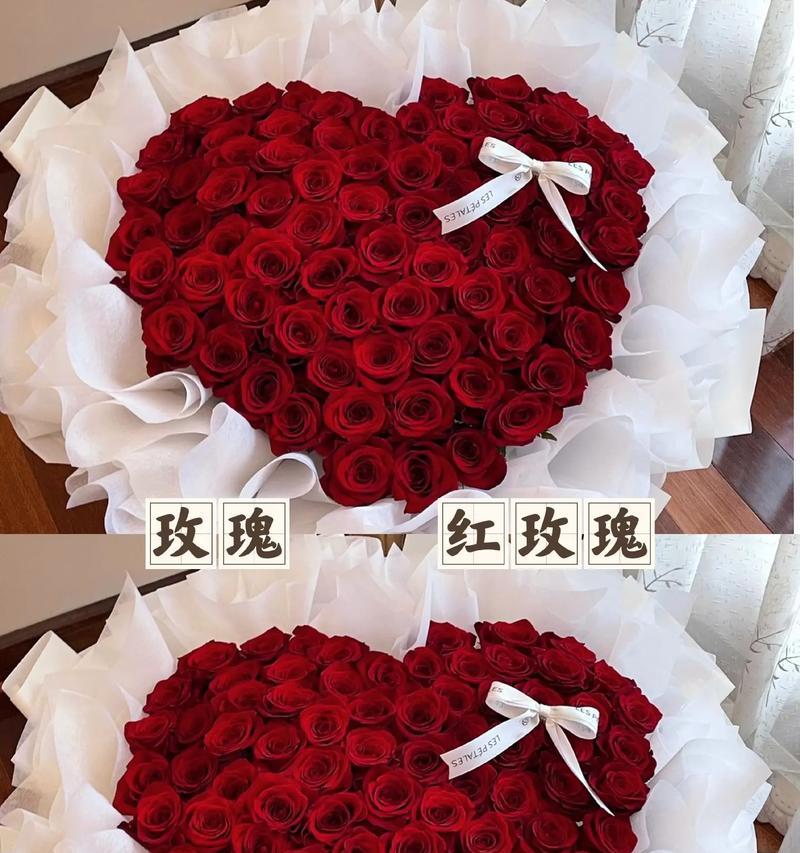 大红色玫瑰花代表什么花语和寓意？