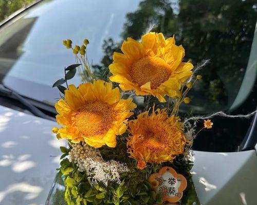 教师节送永生花的含义是什么？永生花在教师节的意义是什么？