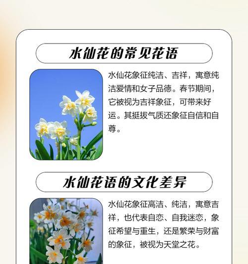 花语中哪些词语含有祝福的含义？