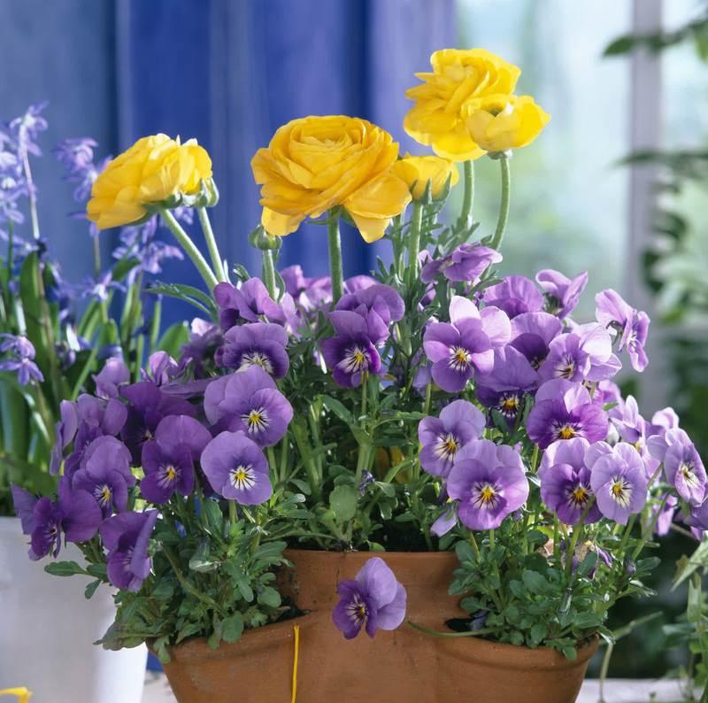 春节放花给孩子象征什么？春节放花的寓意是什么？