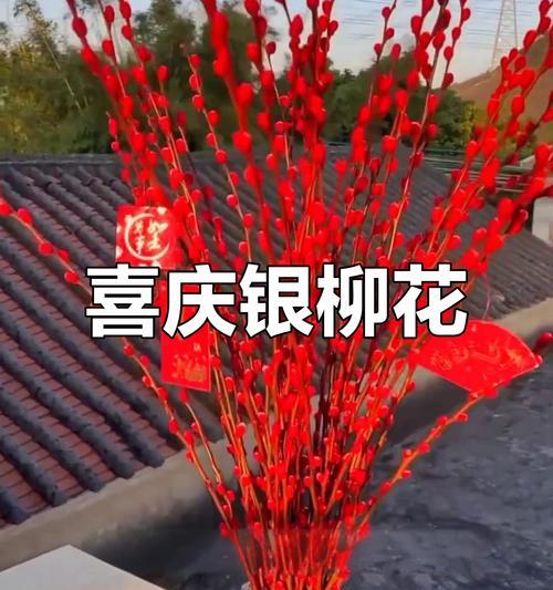 春节放花给孩子象征什么？春节放花的寓意是什么？