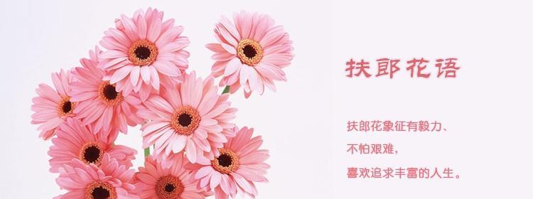 过年花语有哪些？如何选择合适的花语祝福？