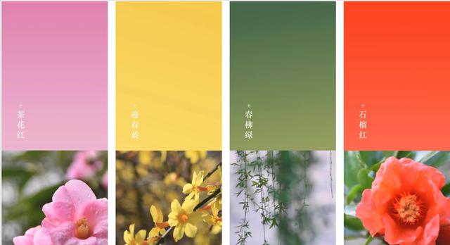 花的颜色有哪些？每种颜色的花代表什么含义？