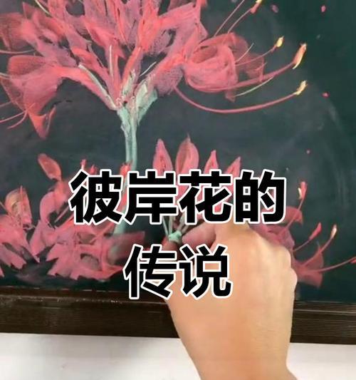 血色彼岸花代表什么？