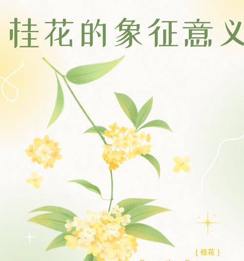 市道兴旺花的寓意是什么？兴旺花的象征意义有哪些？
