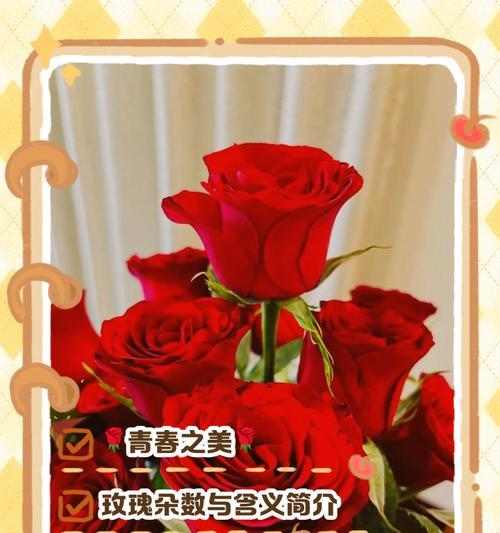哪种花代表着祝福的含义？
