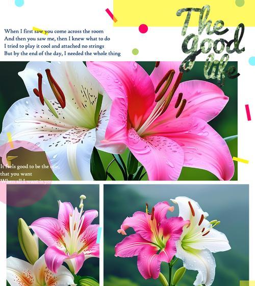 五种颜色的花各代表什么？不同颜色花的寓意是什么？