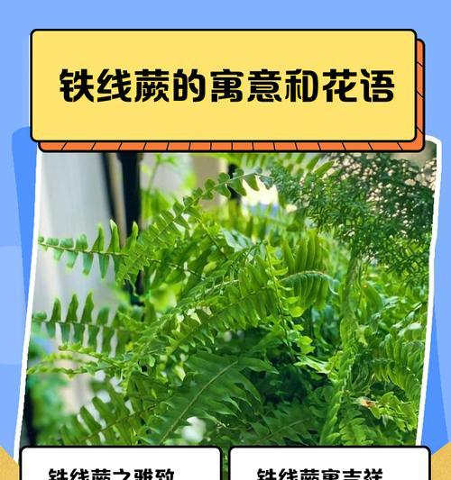 绿色花的寓意是什么？它们在花语中代表什么？