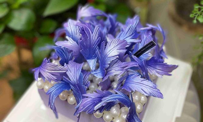 羽毛象征什么颜色的花？羽毛颜色的花语是什么？