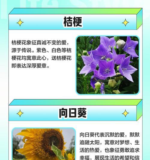 汉朝时期象征爱情的花是什么？汉朝爱情花有哪些？