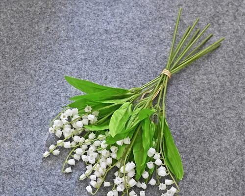 绿色手捧花代表什么？手捧花的绿色花语有哪些？
