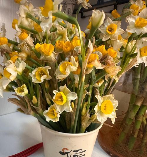 春节送爸爸什么花最合适？