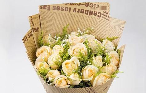 浪漫感触花语是什么？如何表达浪漫情感？