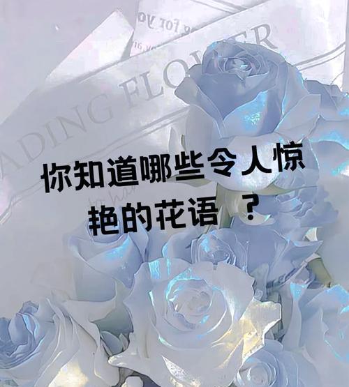 浪漫的花语口号有哪些？花语口号代表什么？