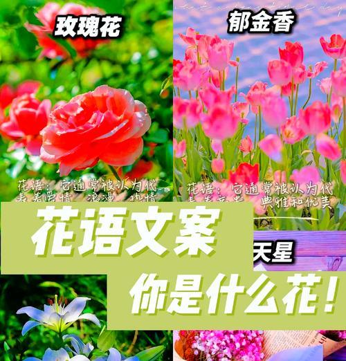 哪些诗句中花象征着爱情的到来？