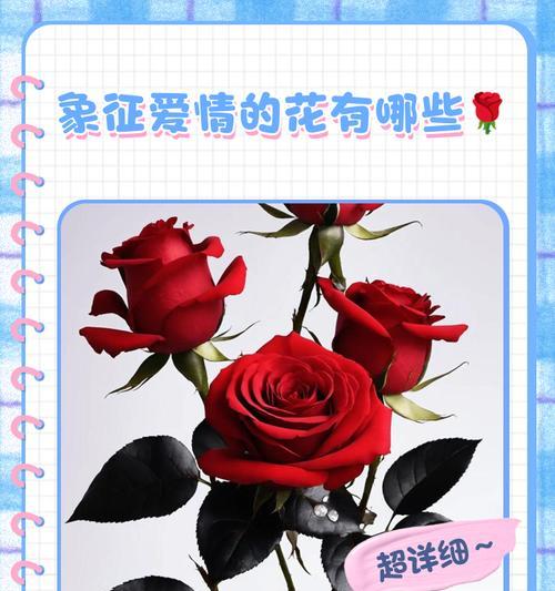 哪些诗句中花象征着爱情的到来？