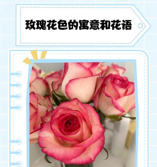 独特颜色的花有哪些寓意？颜色花语的含义是什么？