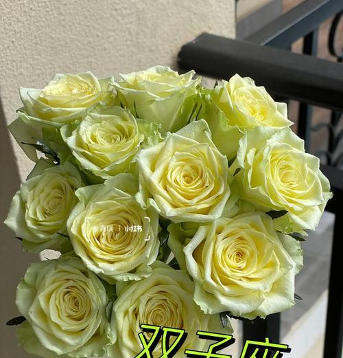 绿玫瑰代表什么？绿颜色玫瑰花的寓意是什么？