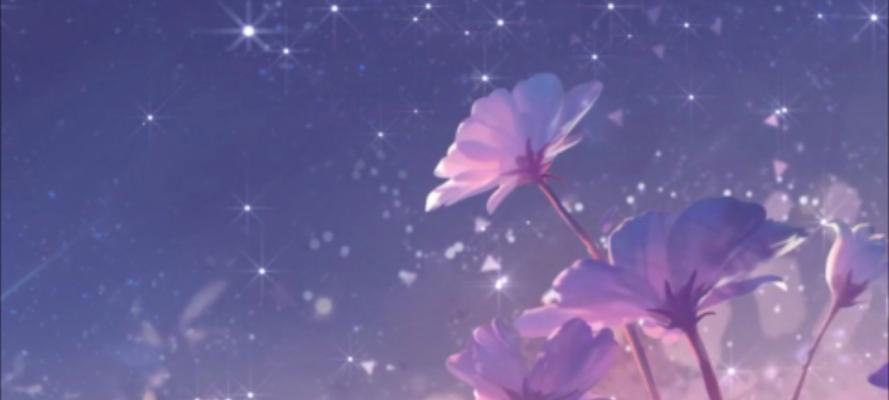 花与星空结合的爱情含义是什么？星空下的花语寓意何在？