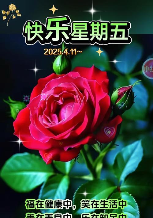 哪种花寓意着“祝你幸福”？