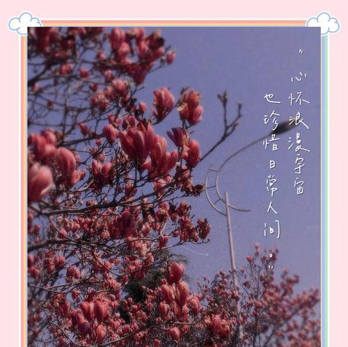 哪种花象征青涩的爱情？它的寓意是什么？