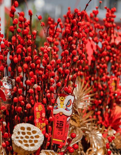 春节花街上的花有哪些特别的寓意？