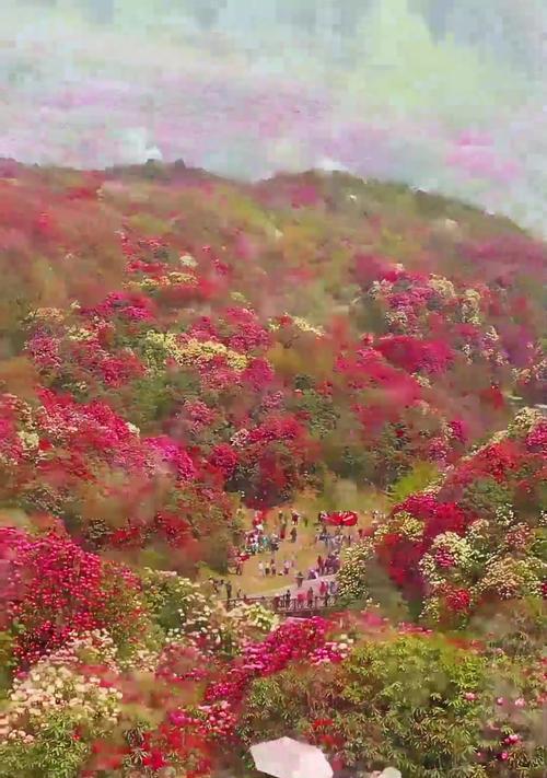 杜鹃花节在贵州有什么特别含义？