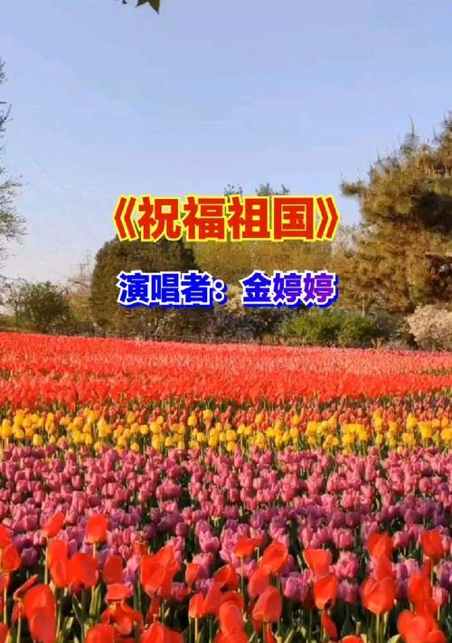 哪种花的花语用来祝福祖国？