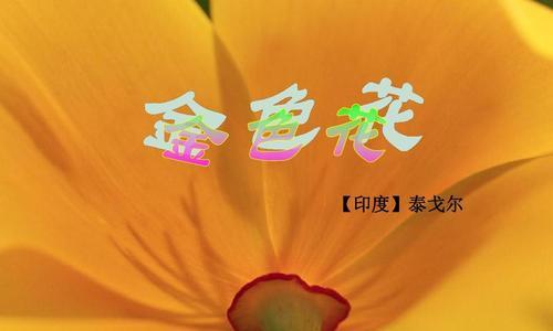 金色花在泰戈尔作品中象征什么？如何理解金色花的象征意义？