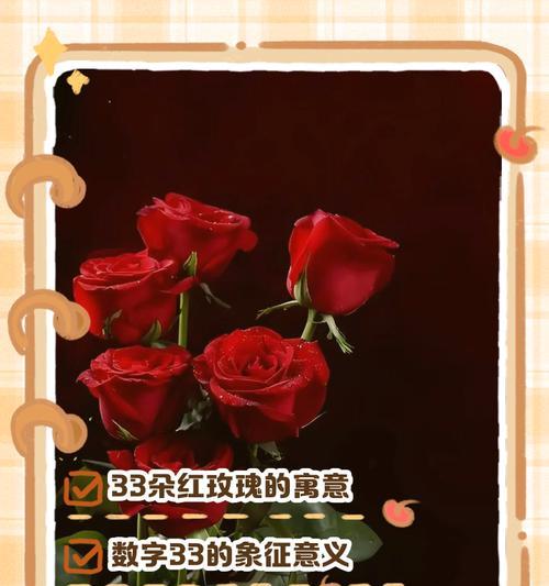两盆玫瑰花的寓意是什么？花语中浪漫的含义有哪些？