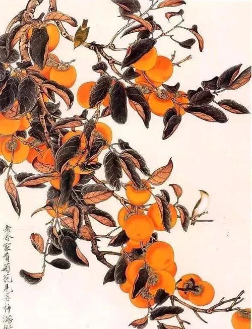 哪种花寓意事事如意学业有成？寓意事事如意学业有成的花是什么？
