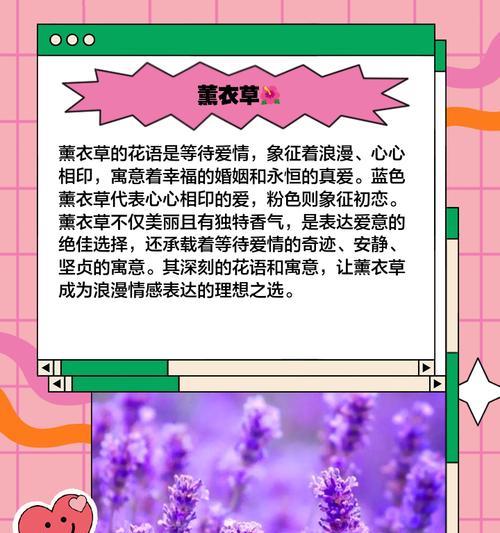 传说中的花象征爱情吗？有哪些花在传说中代表爱情？