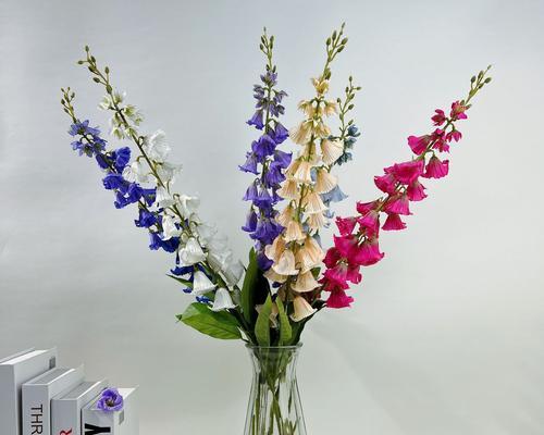手捧花小风铃象征着什么？它的寓意是什么？