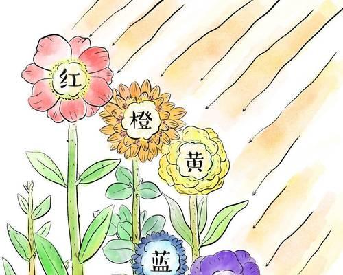五颜六色的花代表什么？它们的寓意是什么？