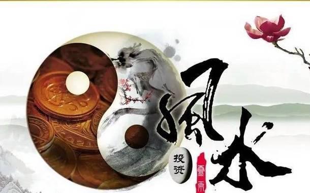 哪种花象征仕途节节高升？仕途高升的花有哪些寓意？