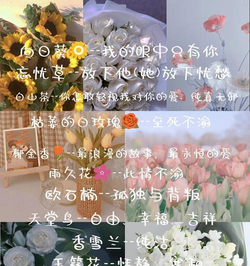 过去的爱情用什么花语表达？