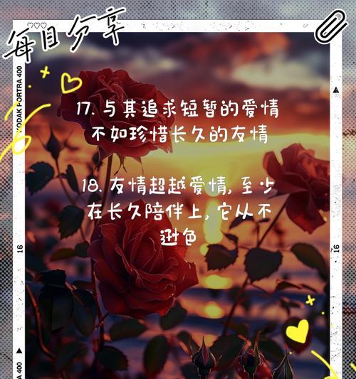 爱情和友情的花语有哪些？