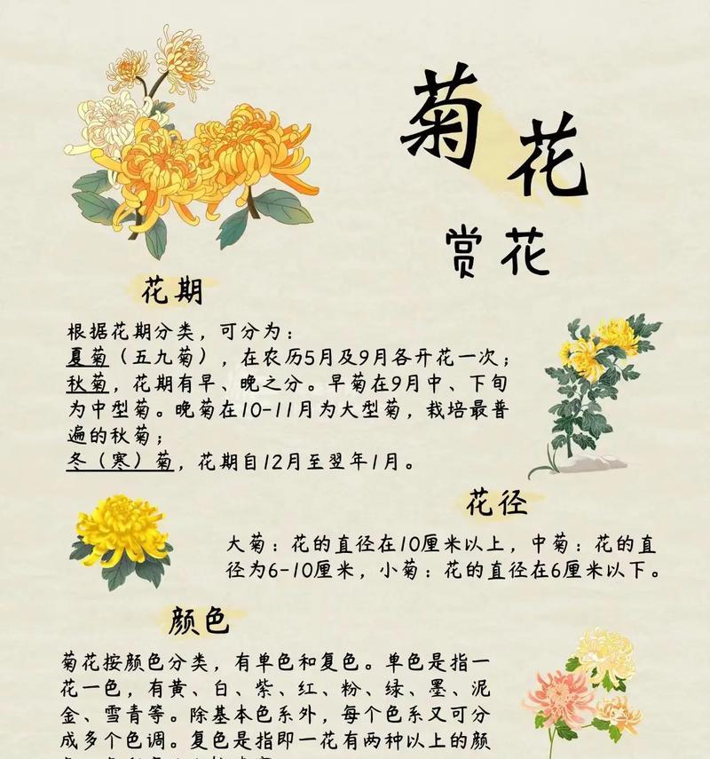 花的颜色不同含义有哪些？