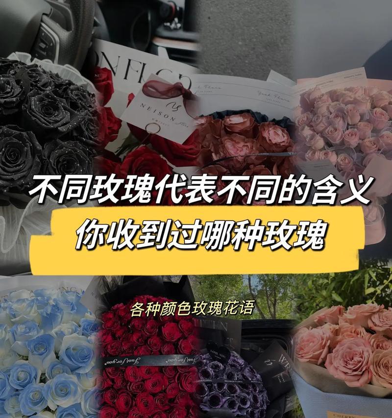 花的颜色不同含义有哪些？