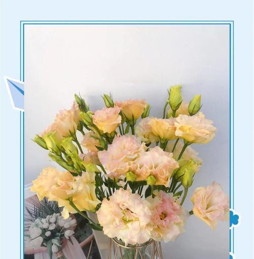 哪些花富有浪漫意义？浪漫花语的花有哪些？